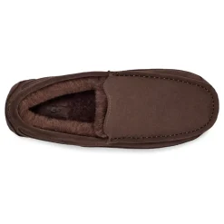 Hjemmesko<UGG Ascot Hjemmesko Dusted Cocoa Brun