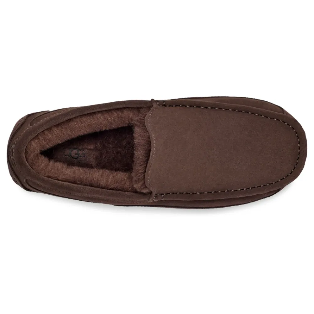 Hjemmesko<UGG Ascot Hjemmesko Dusted Cocoa Brun
