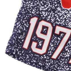 Træningsbukser & Tights<Mitchell & Ness Basketballshorts mand Grå