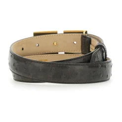 Bælter|Bælter<Elisabetta Franchi BELTS Brun