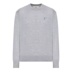 Sweatshirts<Ami Paris Broderet Logo Sweaters Grå
