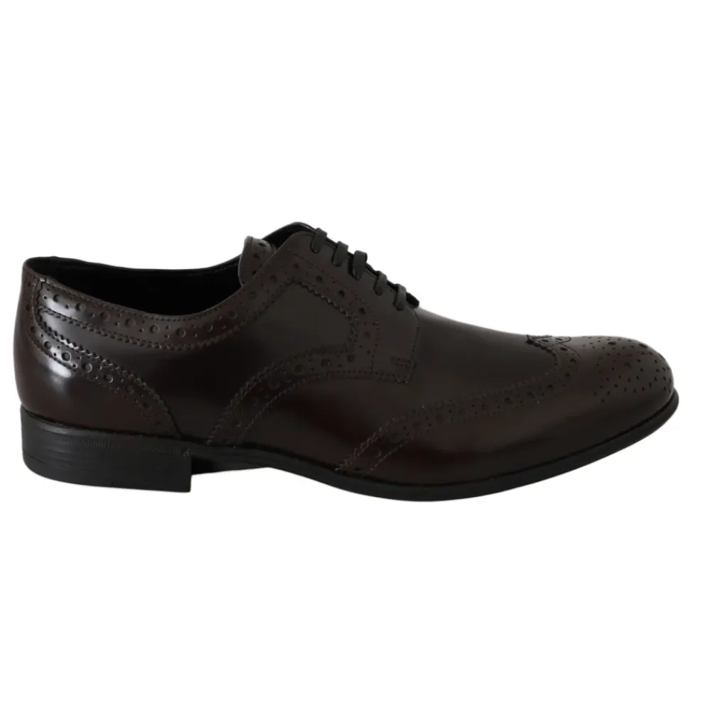 Snøresko^Dolce & Gabbana Broques Oxford Wingip Brun