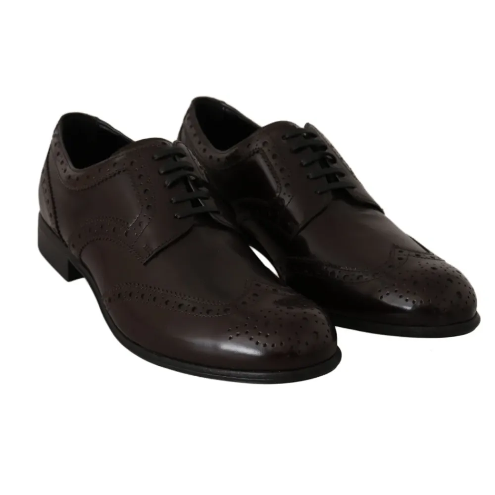 Snøresko^Dolce & Gabbana Broques Oxford Wingip Brun