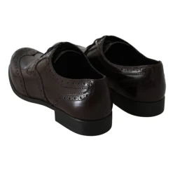 Snøresko^Dolce & Gabbana Broques Oxford Wingip Brun