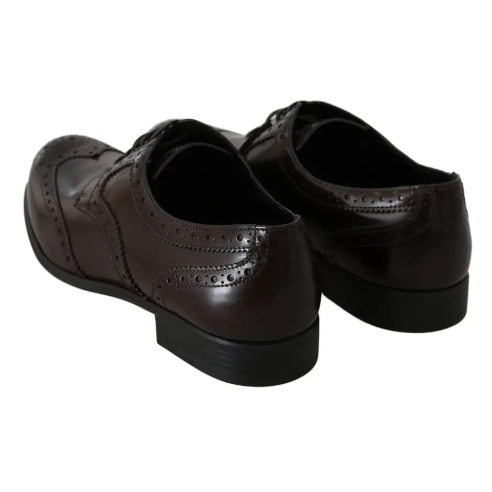 Snøresko^Dolce & Gabbana Broques Oxford Wingip Brun