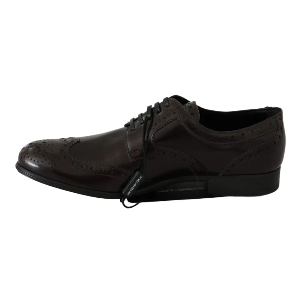 Snøresko^Dolce & Gabbana Broques Oxford Wingip Brun