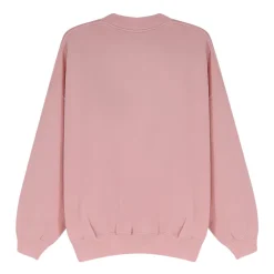 Sweatshirts|Striktrøjer & Sweatere^Polo Ralph Lauren Crew Neck Sweatshirt Pink