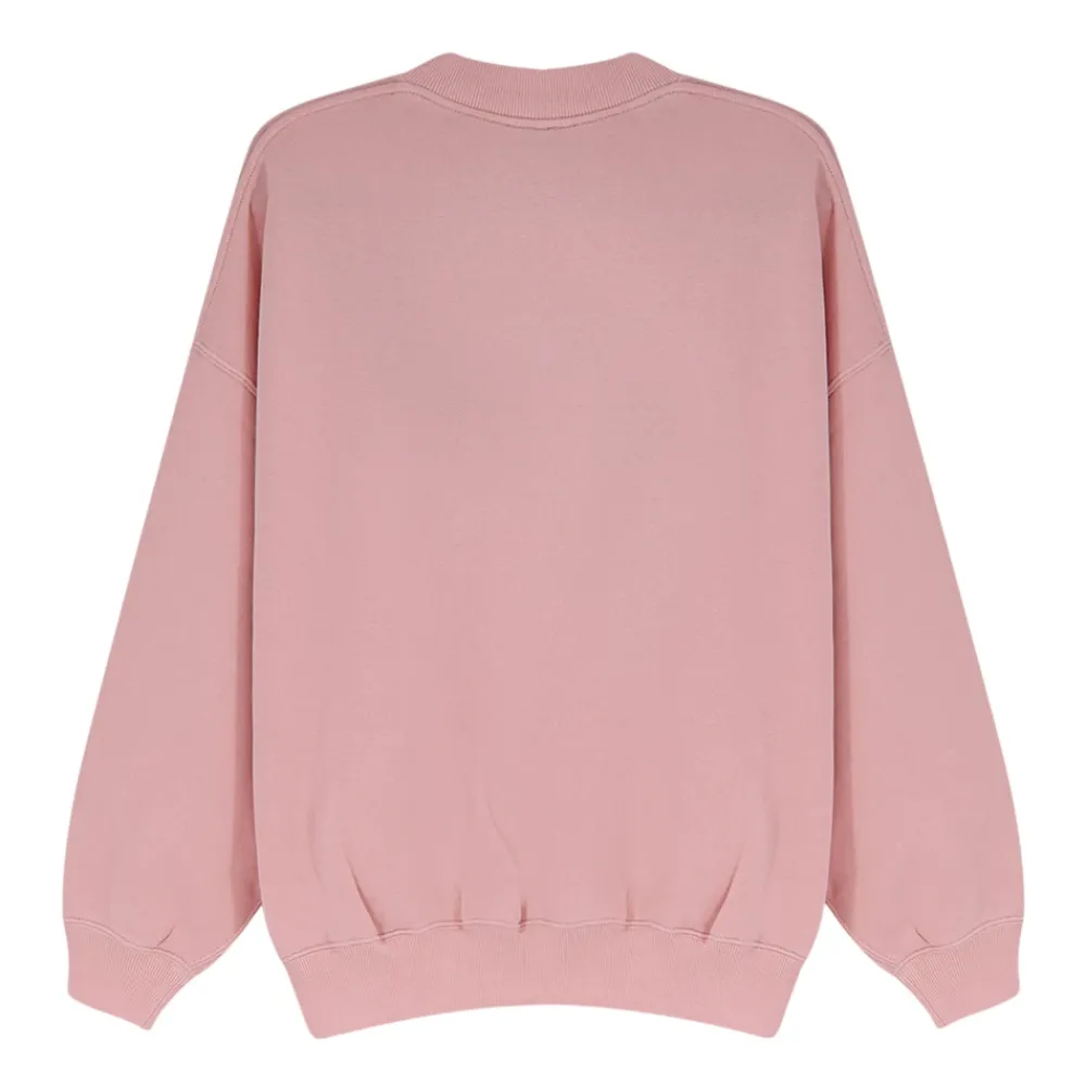 Sweatshirts|Striktrøjer & Sweatere^Polo Ralph Lauren Crew Neck Sweatshirt Pink