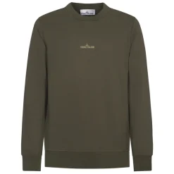 Sweatshirts^Stone Island Institutional Five Sweatshirt Grøn