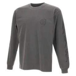 Sweatshirts<Carhartt Wip Langærmet Terrestrial T-shirt Grå