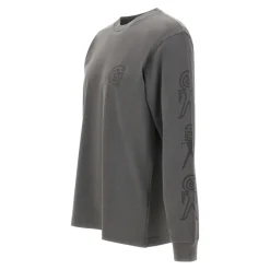Sweatshirts<Carhartt Wip Langærmet Terrestrial T-shirt Grå