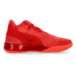 Træningssko<Nike LeBron Nxxt Gen Basketballsko Rød