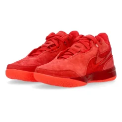 Træningssko<Nike LeBron Nxxt Gen Basketballsko Rød