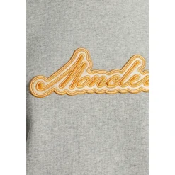 Sweatshirts<Moncler Logo Sweatshirt Grå