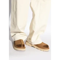 Vinterstøvler^UGG M Tasman Lug Brun