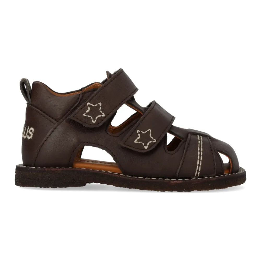 Sandaler^Angulus Mørke Velcro Begynder Sandal Brun