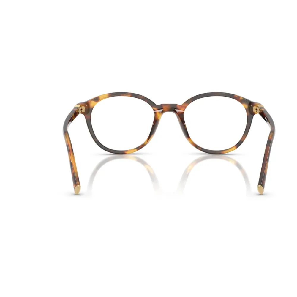 Briller^Miu Miu MU 02WV Optical Frame Brun