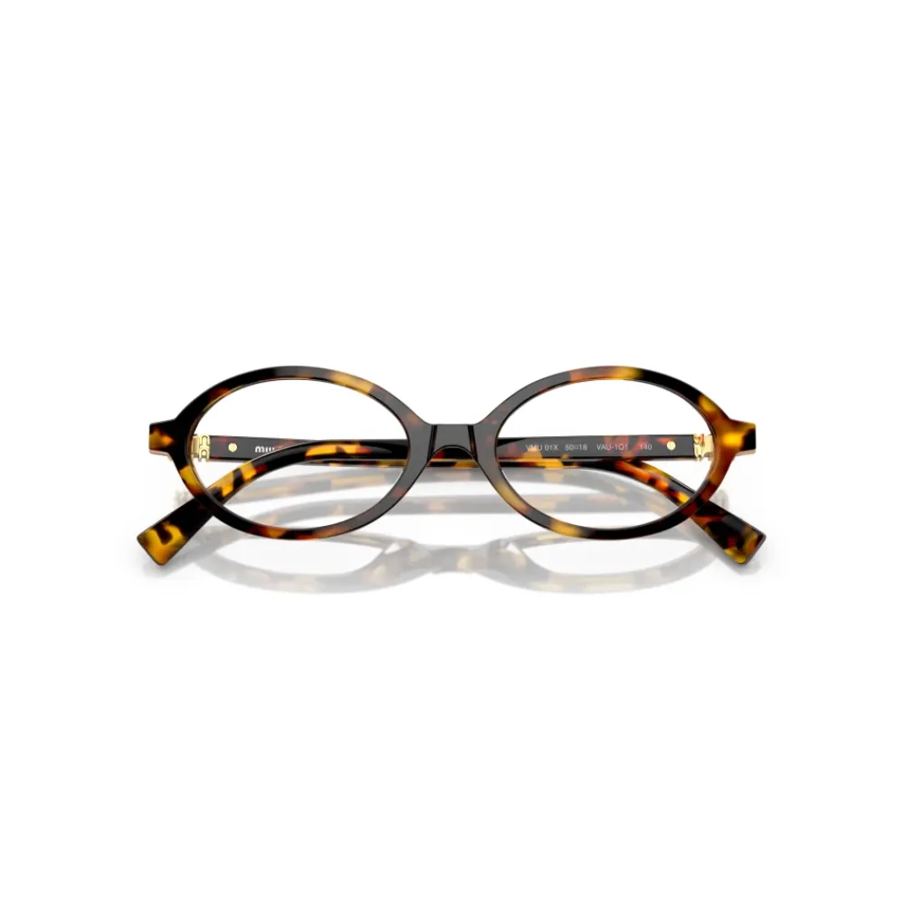 Briller<Miu Miu MU 01XV Briller Brun