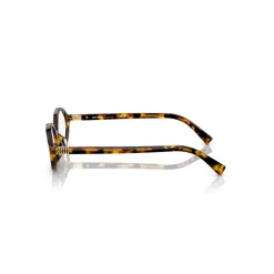 Briller<Miu Miu MU 01XV Briller Brun
