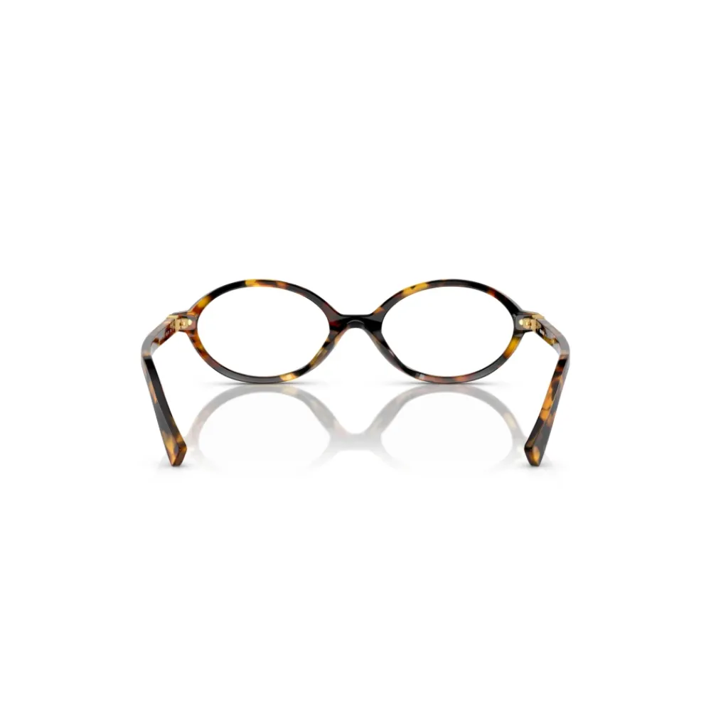 Briller<Miu Miu MU 01XV Briller Brun