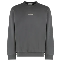 Sweatshirts^Stone Island Oversized Crewneck Sweatshirt med Print Grå