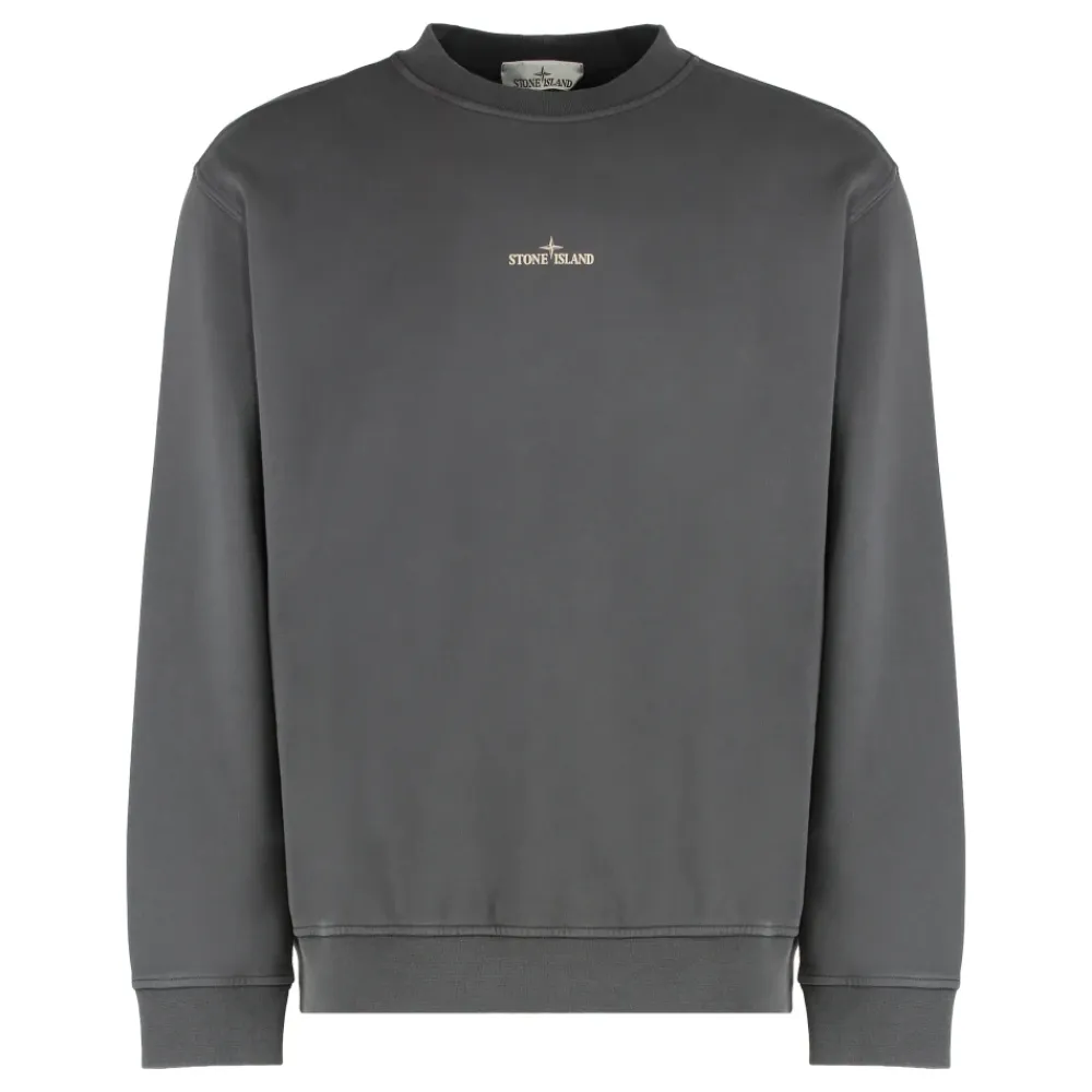 Sweatshirts^Stone Island Oversized Crewneck Sweatshirt med Print Grå