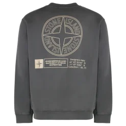 Sweatshirts^Stone Island Oversized Crewneck Sweatshirt med Print Grå