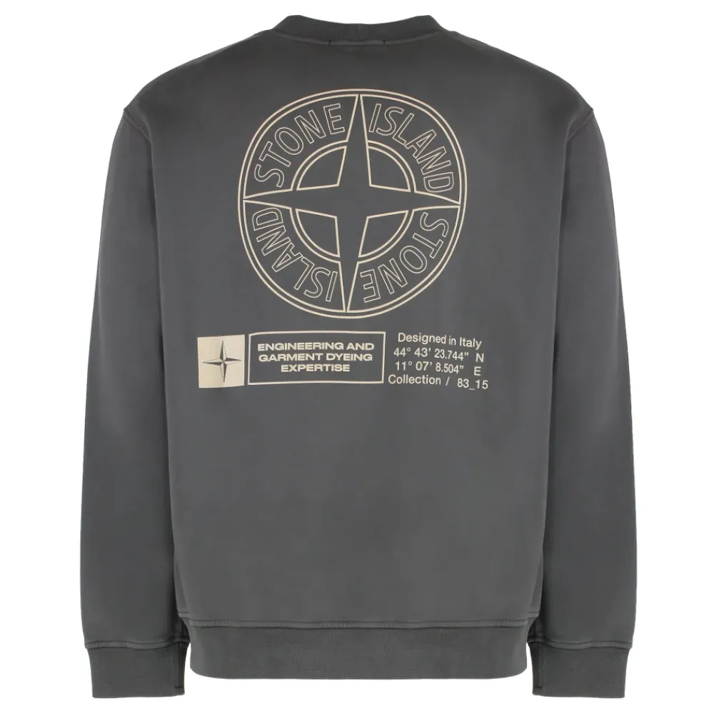 Sweatshirts^Stone Island Oversized Crewneck Sweatshirt med Print Grå