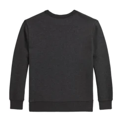 Sweatshirts<Ralph Lauren Polo Bear Sweatshirt Grå