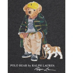 Sweatshirts<Ralph Lauren Polo Bear Sweatshirt Grå
