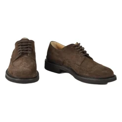 Business Sko^Tod's Sko Brun