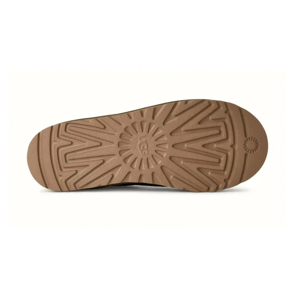 Vinterstøvler|Støvler<UGG Tasman Baxter Slippers Grøn